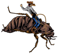 Cowboy riding dubia roach
